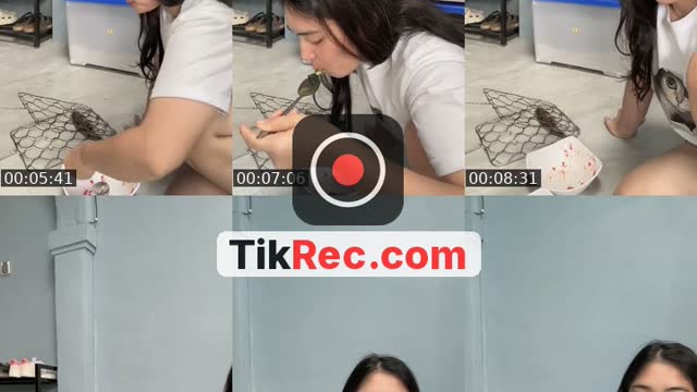 @auliafahmalubis_ TikTok live