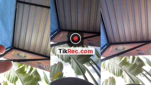 @usernamenamee010 TikTok live