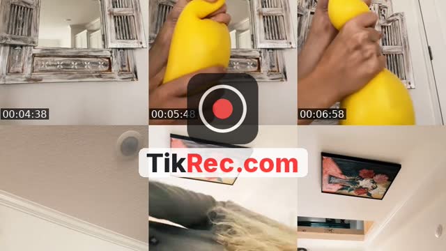 @lavenderhollow4 TikTok live from 2026-10-04