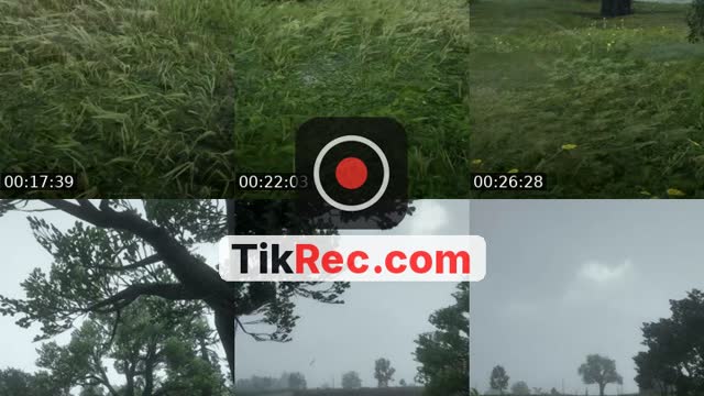 TikTok live: Walking with rain by @lazycryzy