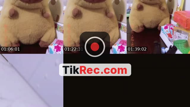 @nina_henrique07 TikTok live from 2026-10-05