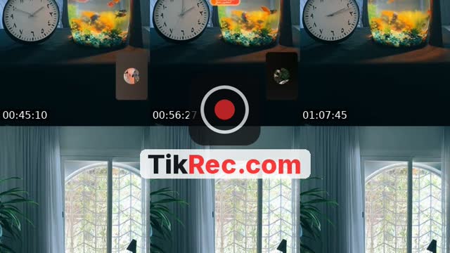 TikTok live: قستات ١٤٤٨/٤/٢٤ هـ by @ammalysr