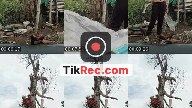 @vane.pinta1 TikTok live from 2026-10-05
