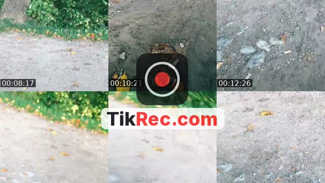 @tom450213 TikTok live