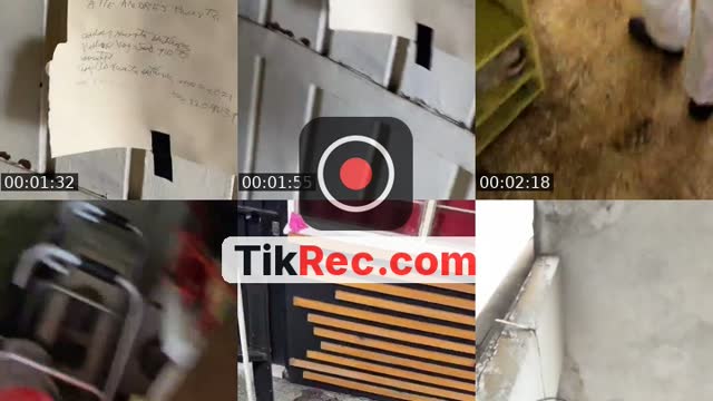 @selfor_mx TikTok live