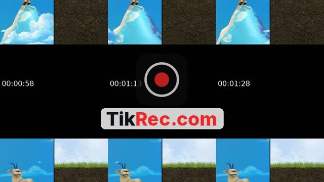 @ptn2x2 TikTok live