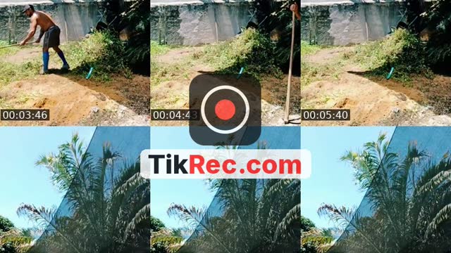 @farley57moreira TikTok live