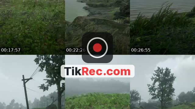 TikTok live: Rainy day by @lazycryzy