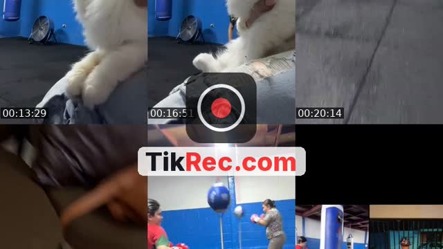 @.lmbs3 TikTok live from 2026-10-06