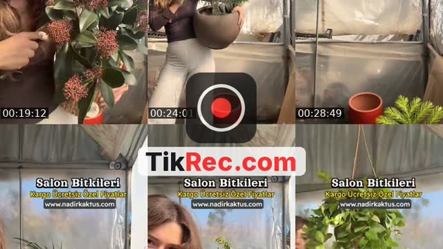 @nadir.kaktus TikTok live from 2026-10-07