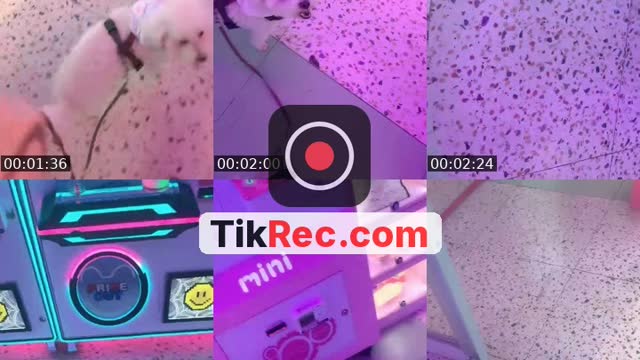 @bebebaby19 TikTok live