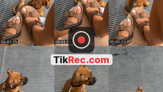 @rossycast97 TikTok live