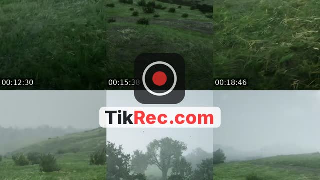 @lazycryzy TikTok live from 2026-10-06