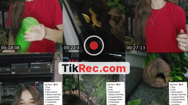 TikTok live: WARNING EXOTIC PETS-(I'm 19) by @skys.animal.zoo