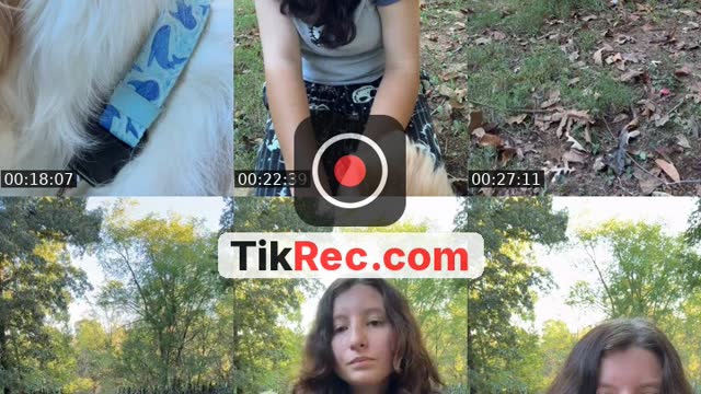TikTok live: Training/chatting withrockyroad by @that_goofy..aussie_rocky