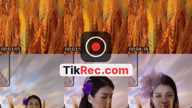 @whothaez TikTok live from 2026-10-07