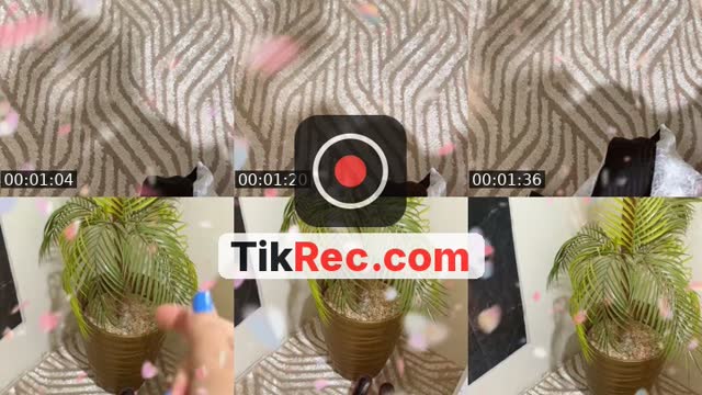 @ayla_f3 TikTok live