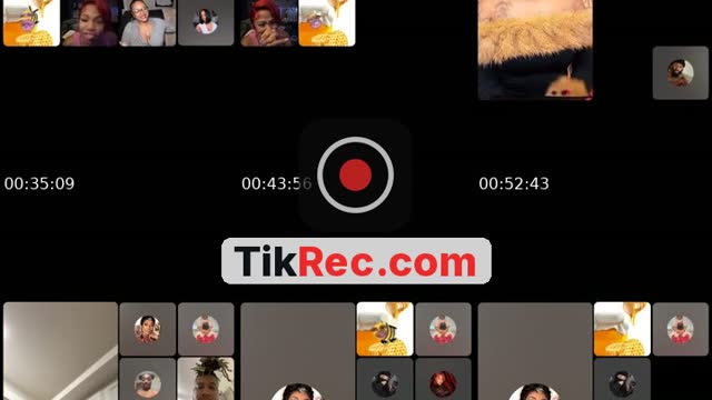 TikTok live: 🐀 by @damessydesk