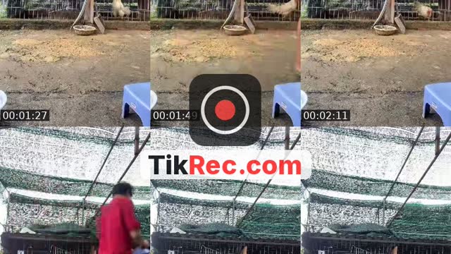 @heoluoc84 TikTok live