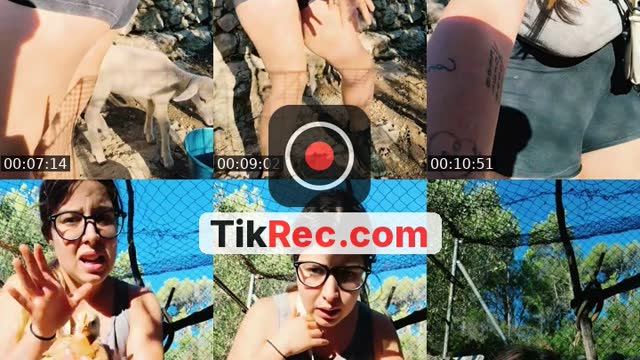 TikTok live: hello by @ailime2005_