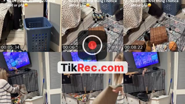 @des.secret.2.0 TikTok live from 2026-10-08