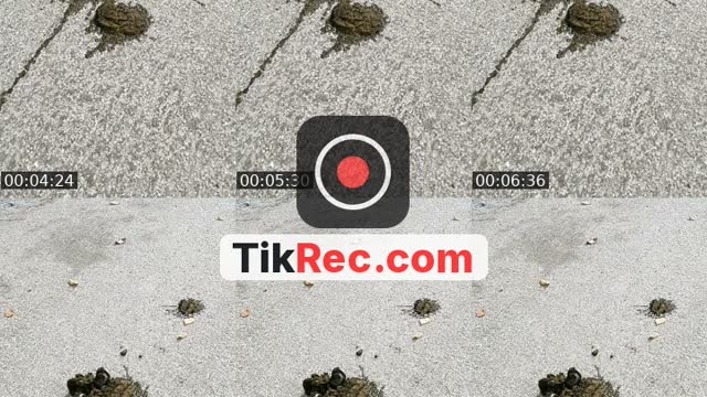 @nurse0224 TikTok live