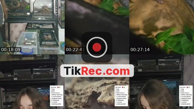 TikTok live: WARNING EXOTIC PETS-(I'm 19) by @skys.animal.zoo