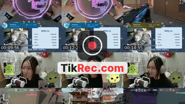 @dear_miffy TikTok live from 2026-10-08