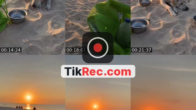 TikTok live: Salam kejengat-kejengit🐕🙏 by @streetdogsch