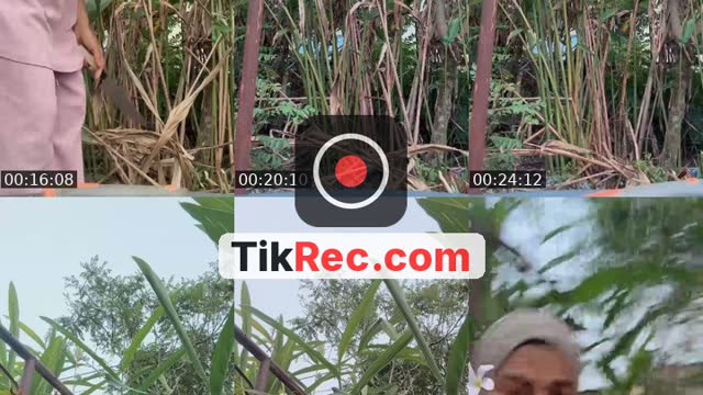 TikTok live: teman saya jap by @syahidaothman279