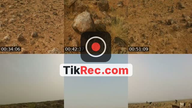 @taysir_almasaeid TikTok live from 2026-10-08