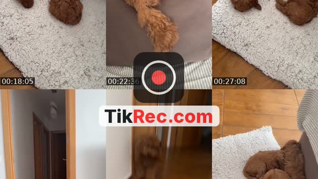 TikTok live: Lets Go LIVE! by @_soniaruizzz