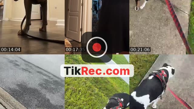 TikTok live: Will u b at my battle tonight? by @natalieasweet77