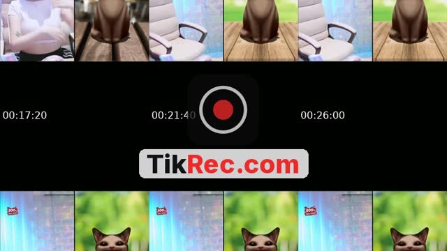 TikTok live: Lets Go LIVE! by @hoathiennhi99