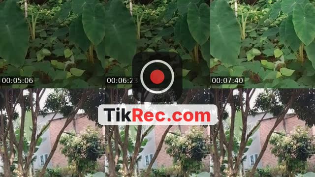 ca nhạc nhớ thả tim cho mình nha - @yeuchiminhem1234