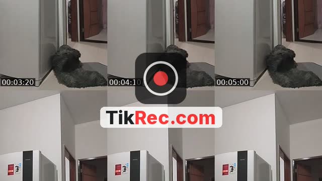 @anesantosoficial.10 TikTok live