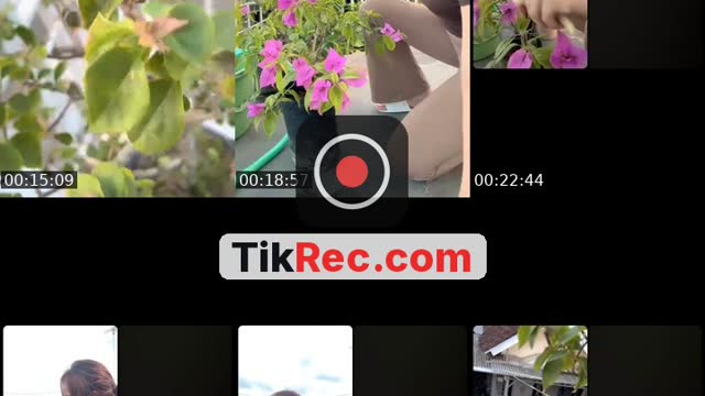 @restyyyyaa TikTok live from 2026-09-14