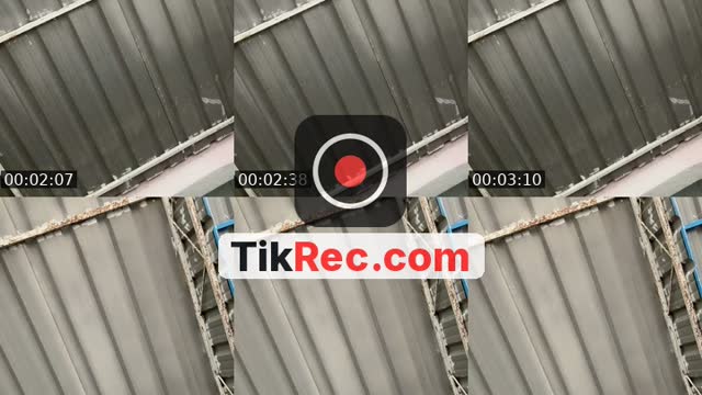 @shrfhdnia TikTok live
