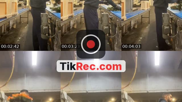 TikTok live: Търси се човек със книжка by @g.e.n.e.r.a.l.a
