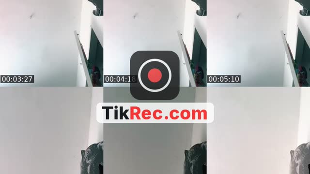 @windeerccs TikTok live