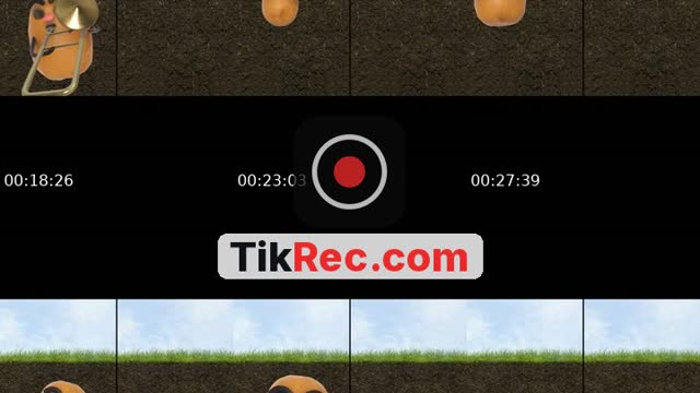 @ptn2x2 TikTok live from 2026-09-15