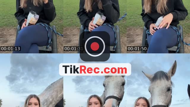 TikTok live: 🐴 by @patqa..equine