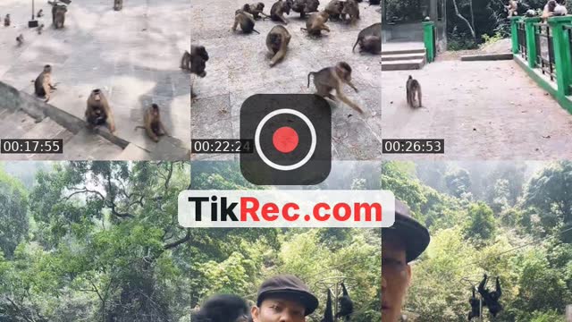 @detimmanik8 TikTok live from 2026-09-15