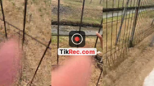 @cintatata1503 TikTok live
