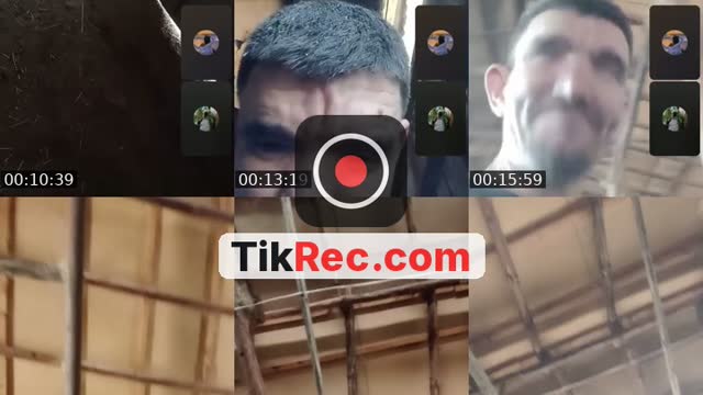 @andimeta001 TikTok live