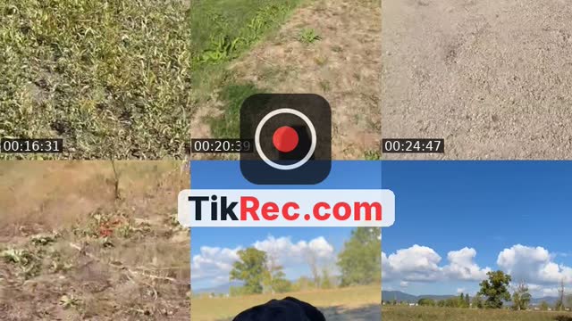Lets Go LIVE! - @live.elite.class.peter