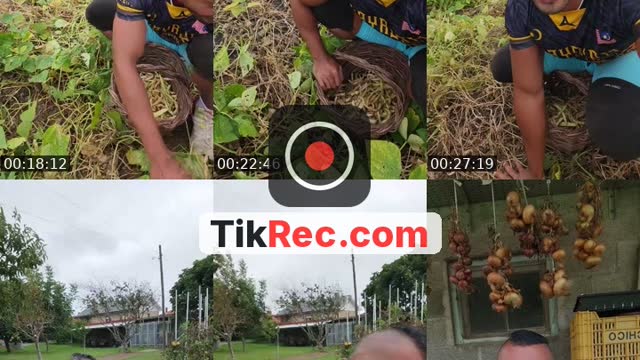 @ryan_malaysia_spain TikTok live from 2026-09-15