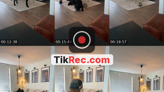 @wild_dancing.uk TikTok live