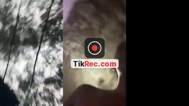 @trem_bj TikTok live