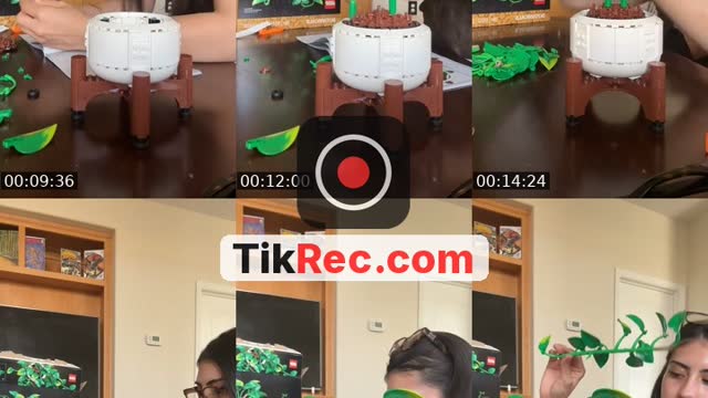 TikTok live: Legos by @sofiafreakingpeener